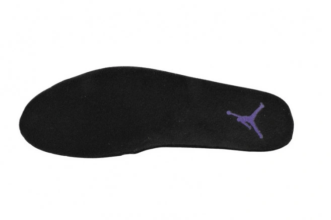 Air CT8013-057 Field 12 Jordan Retro Purple 0806